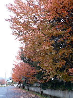 f0106664_838275.jpg