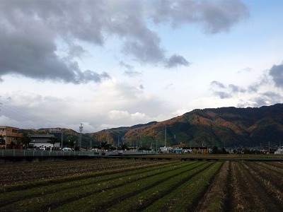 f0106664_8385013.jpg
