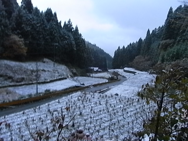 a0146070_6563128.jpg