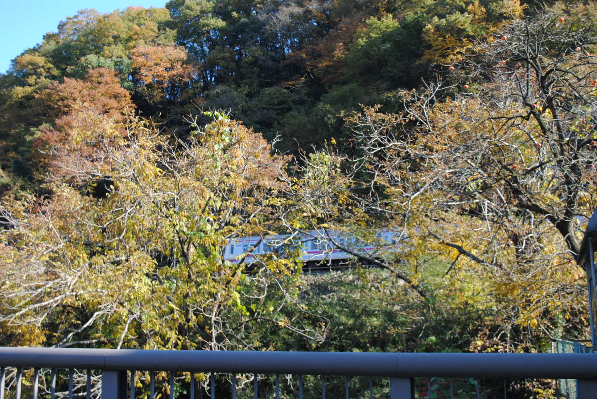 b0242873_0445576.jpg