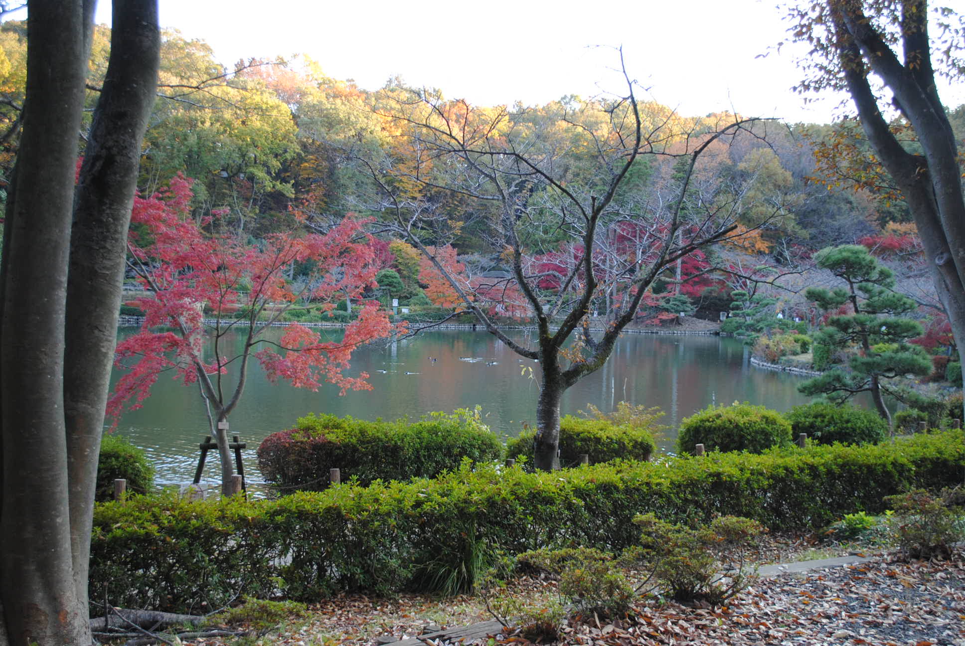 b0242873_181678.jpg