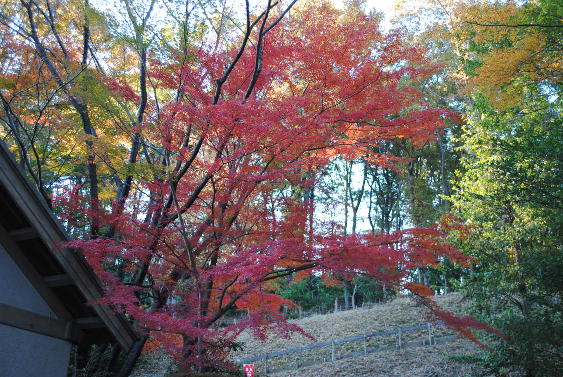 b0242873_185456.jpg