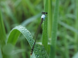 d0240983_2152015.jpg