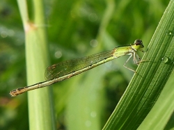 d0240983_2152626.jpg