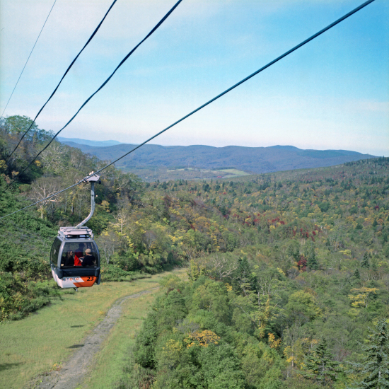 c0160185_192170.jpg