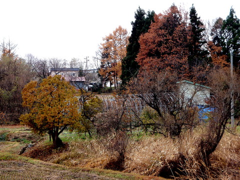 a0007388_11491631.jpg