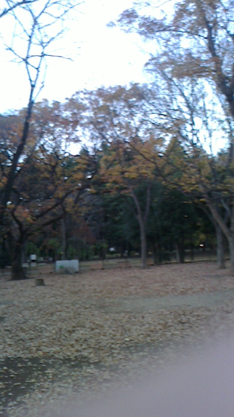a0319693_18125864.jpg