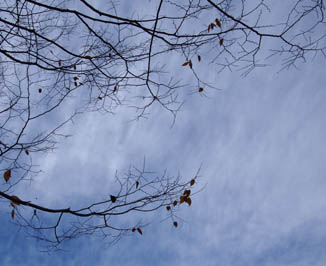 e0125894_2315015.jpg