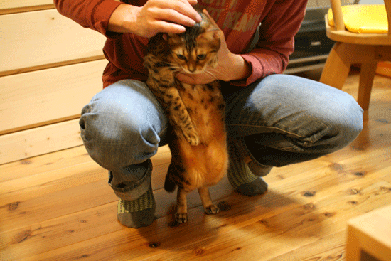 c0011300_2337497.gif