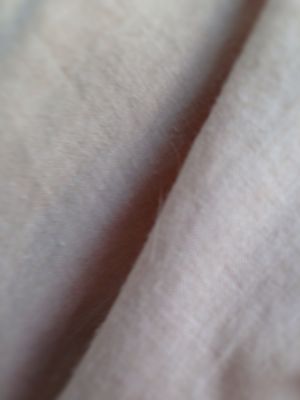 f0041600_21191752.jpg