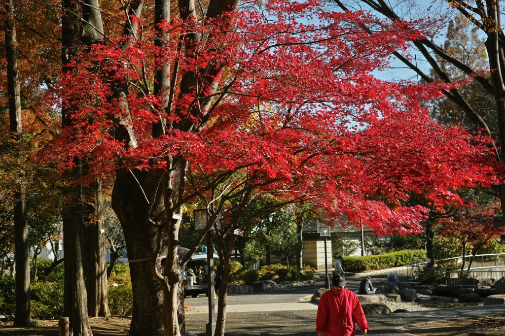 f0224100_21571760.jpg