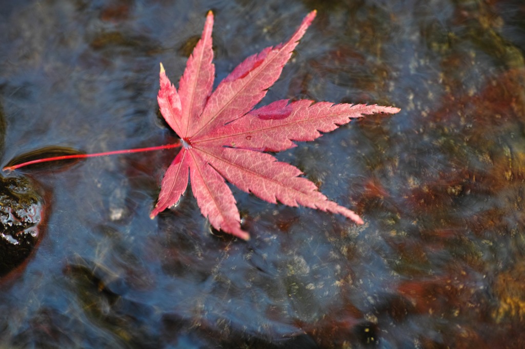 f0224100_2224068.jpg