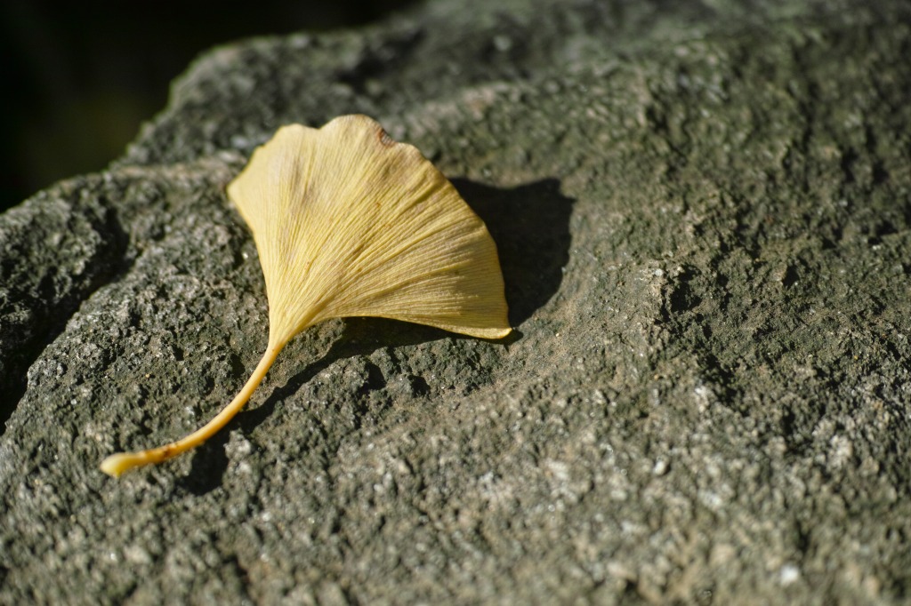 f0224100_2252731.jpg