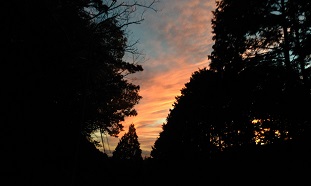 e0233111_9191343.jpg