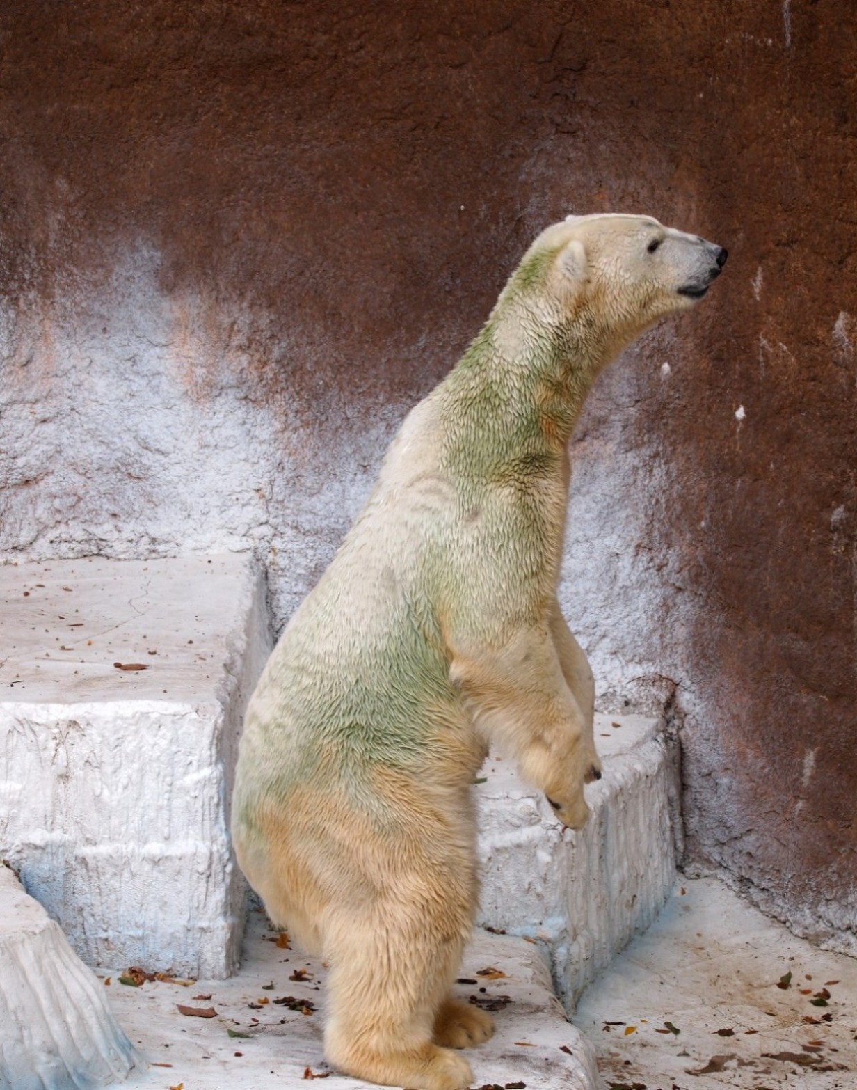 e0163618_22373258.jpg