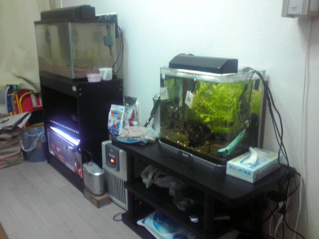 a0291521_1064881.jpg