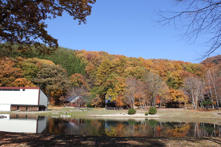 f0248635_23171721.jpg