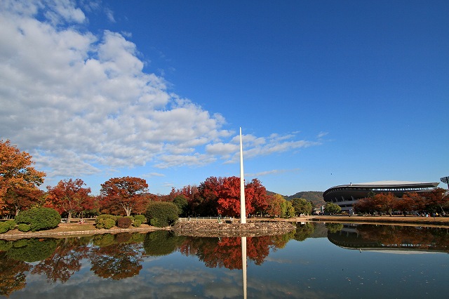 a0242438_220381.jpg