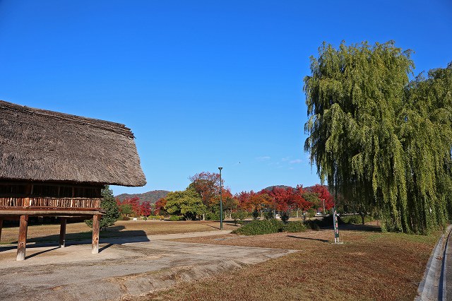 a0242438_2221192.jpg