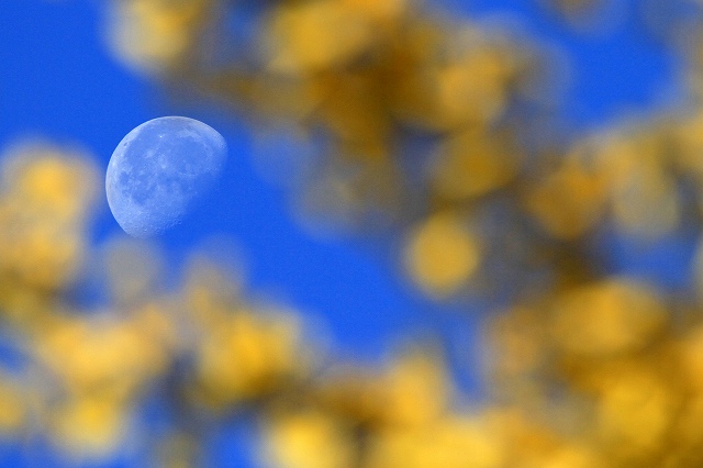 a0242438_2225179.jpg