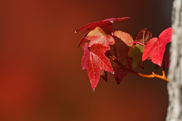 a0242438_223946.jpg