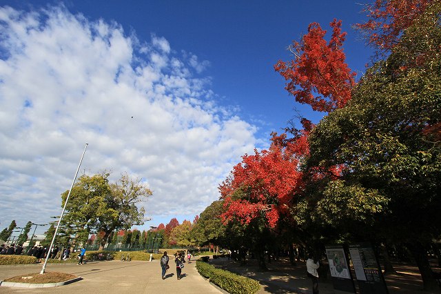 a0242438_2285569.jpg