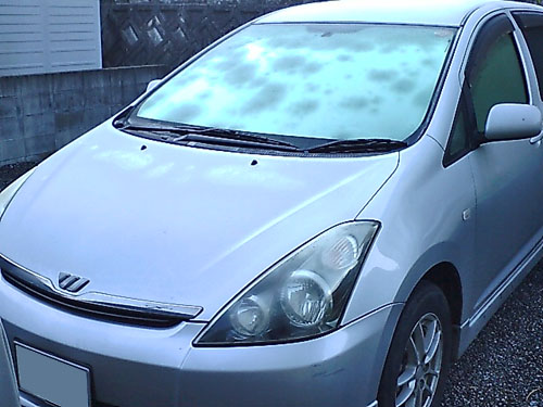 d0156040_13355573.jpg