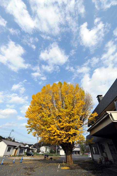b0075541_16474378.jpg