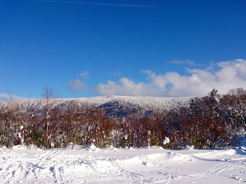 c0081645_034316.jpg