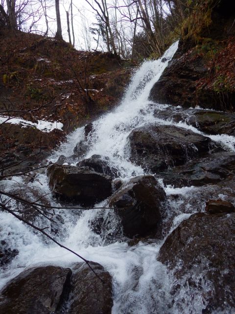 e0290546_14221826.jpg
