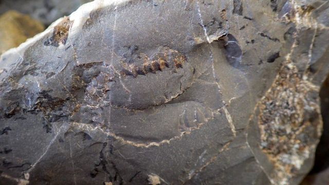e0290546_14235032.jpg
