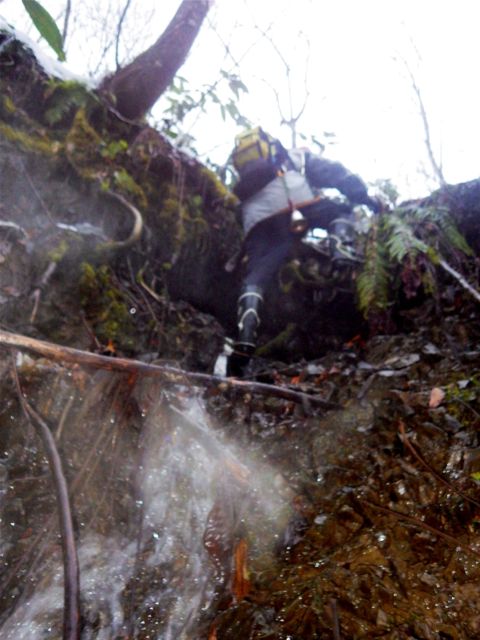 e0290546_14242682.jpg