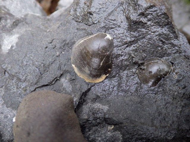 e0290546_14244226.jpg