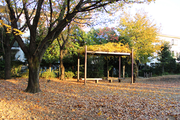 a0307547_20141567.jpg
