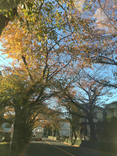 f0179947_0113993.jpg