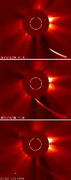 c0020649_13534868.gif