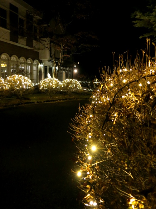 f0236260_1546677.jpg