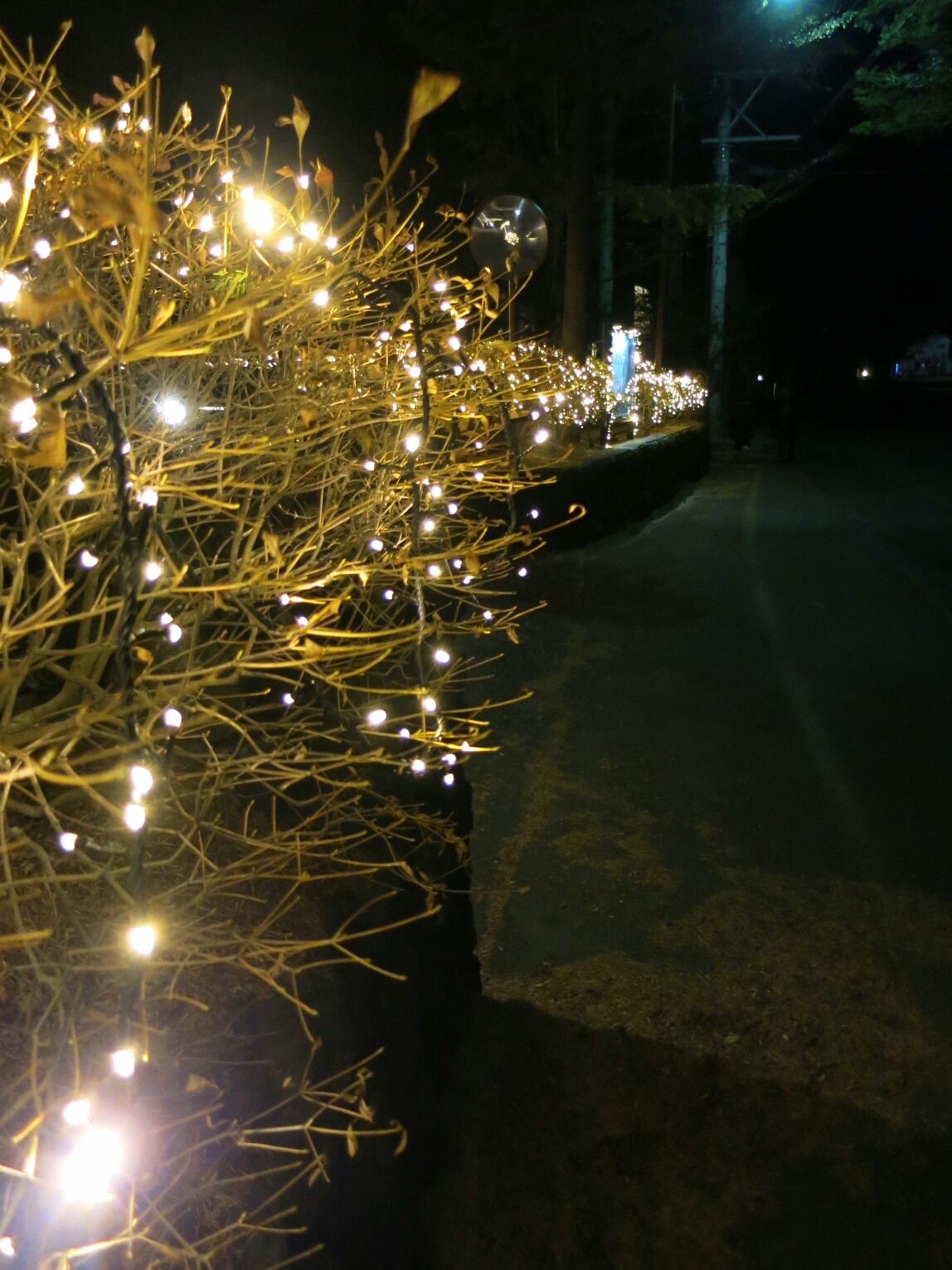 f0236260_168592.jpg