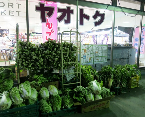 f0236260_17194421.jpg