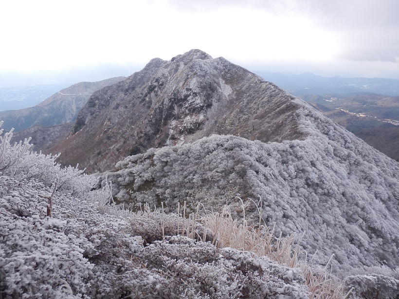 c0042869_21361391.jpg
