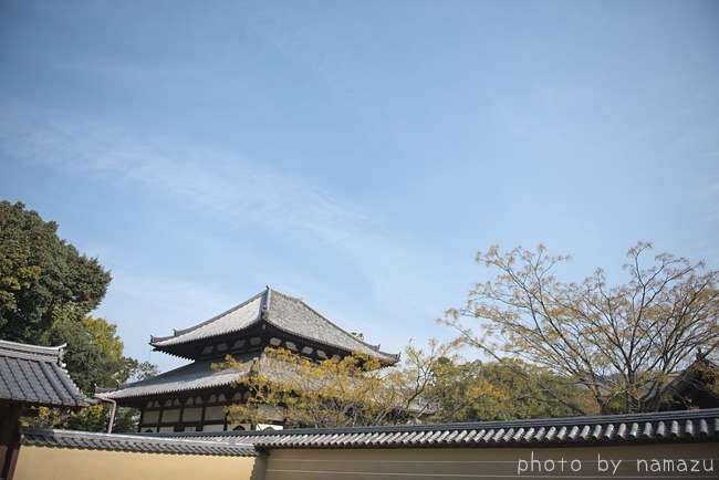 b0280176_20214466.jpg