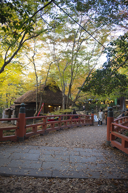 b0280176_2113880.jpg