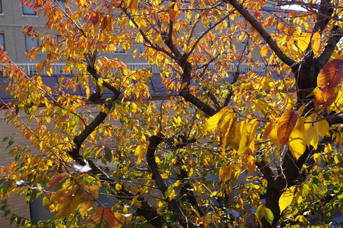f0054677_948421.jpg
