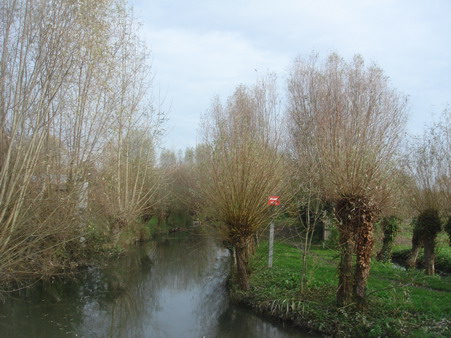 a0247585_6102491.jpg