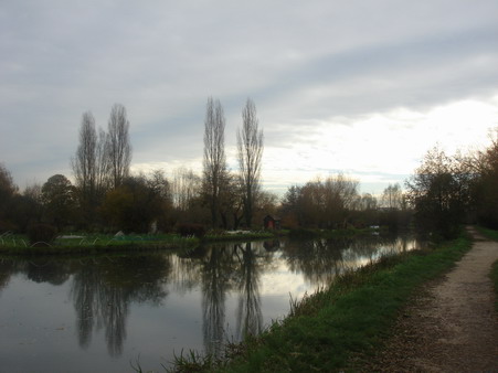 a0247585_6155961.jpg