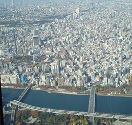 e0096485_113321.jpg