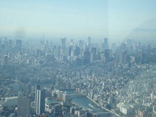 e0096485_1154636.jpg