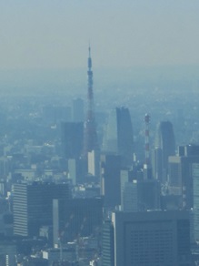 e0096485_117320.jpg