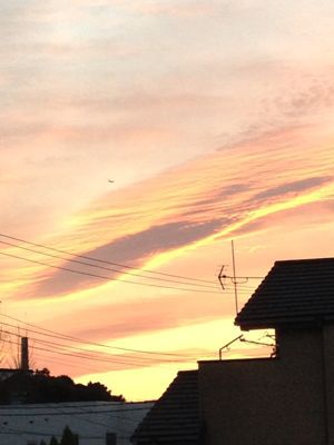 c0096393_8453372.jpg