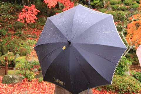 a0222494_20244564.jpg